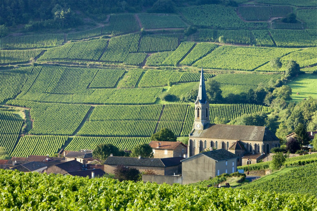climats-de-bourgogne-burgundia-tour