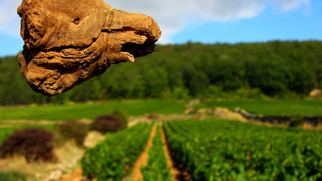 Paysages de Bourgogne - Land Art