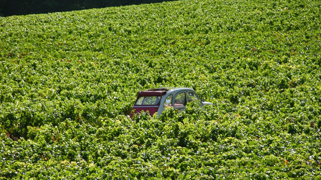 Paysages de Bourgogne - Land Art