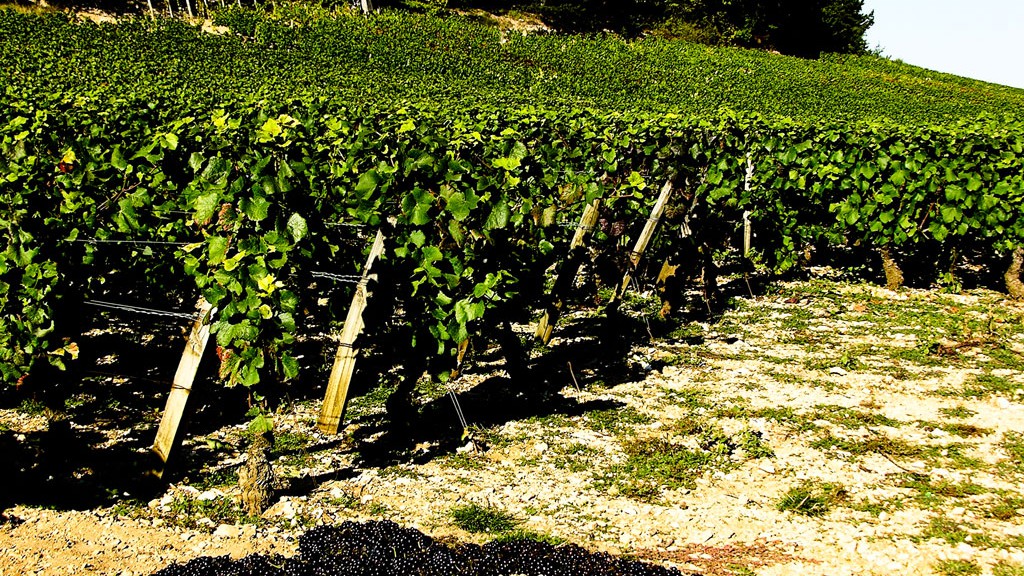 Paysages de Bourgogne - Land Art