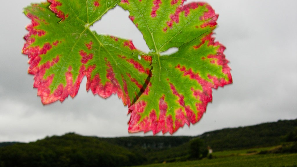 Paysages de Bourgogne - Land Art