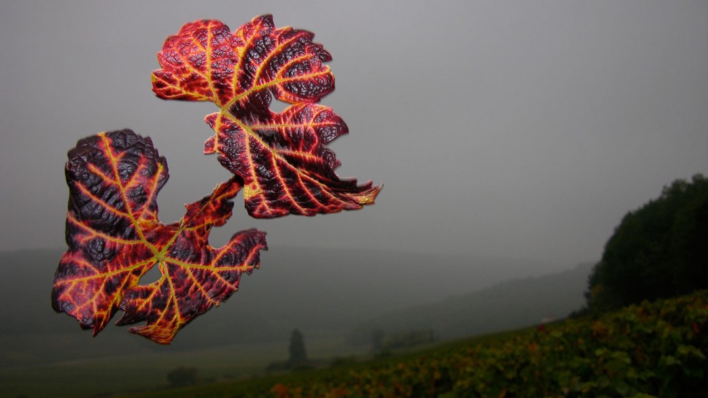 Paysages de Bourgogne - Land Art