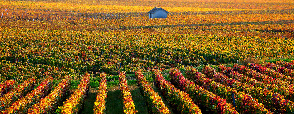 Voyage en Bourgogne Excursion Grenat 1 jour