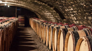 Burgundy wine tour Wine cellar