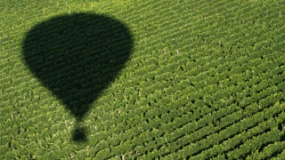 Burgundy wine tour Flight over