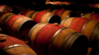 Burgundy wine tour Meet winemakers