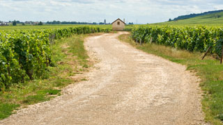 Burgundy wine tour Terroirs and climats